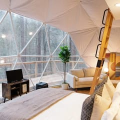 Elevated Stay| Hot Tub| Woodsy Dome Experience