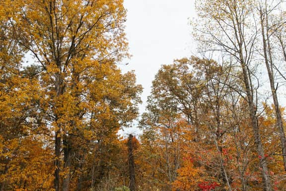 Warm & Cozy Stay| Near RRG Hiking | Firepit